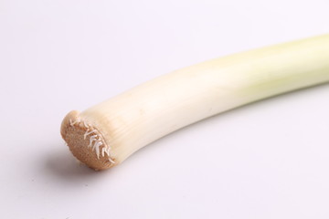delicious leek in color background