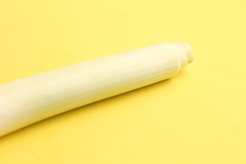 delicious leek in color background