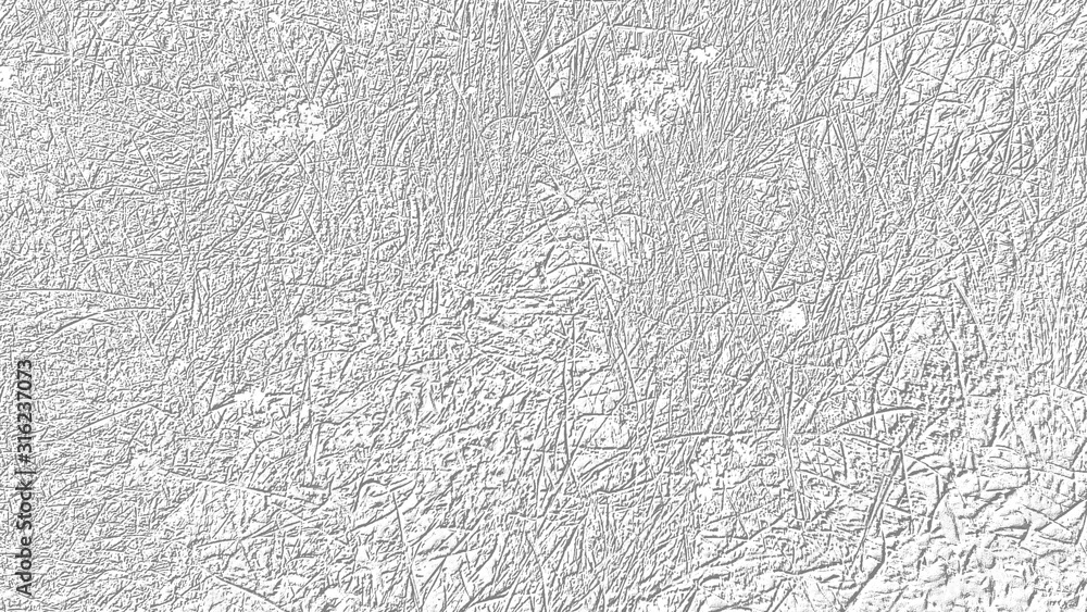 Poster abstract image on a white background with gray lines on a floral theme. gray patterns on a white bac