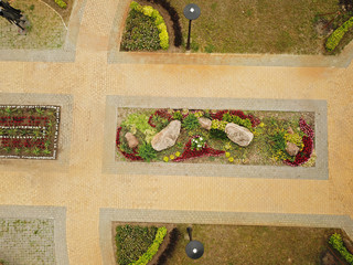 Aerial drone view. Flower bed in the park