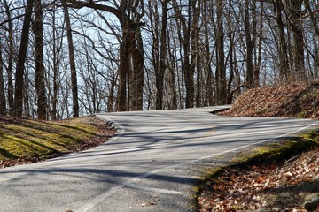 road in forest