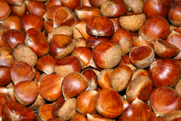 Edible chestnuts