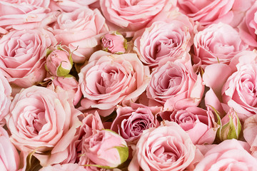 Flowers background wall with pink roses, wedding decoration, handmade.Valentine's day, women's day, mother's Day.Decor.Textile.Photophone.Greeting card.