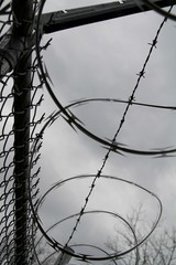 barbed wire fence with gray skies