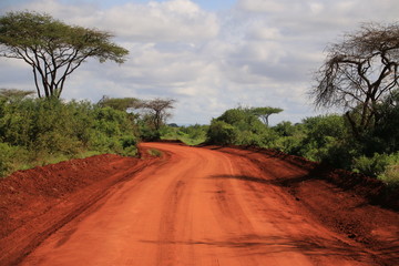 Fototapeta na wymiar Amazing red colour of a road in Tsavo West during a Safari (Kenya)