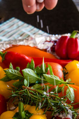 Hand putting salt on roasted colorful and natural vegetables cooking at home on background with space for text, selective focus