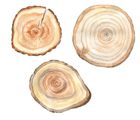 Watercolor slices of wood.
