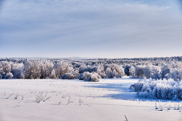 Winter landscape. Snow-covered field and forest covered with hoarfrost on a background of hills. Russia. Western Siberia.