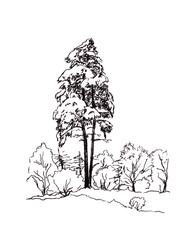 black and white graphic drawing of snowy pine trees in a forest