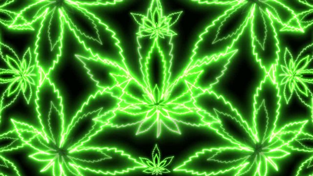 4k Neon Cannabis Leaves Looped