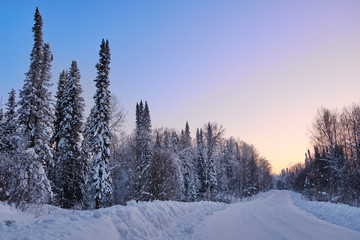 Winter landscape. Road through the evening snowy forest. At the edges, spruce and birch are covered with snow. Western Siberia. Russia .