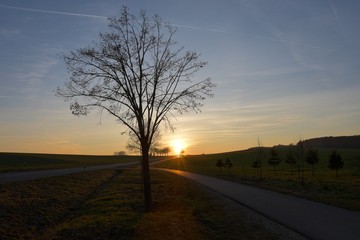 Fototapeta premium On the way ... sunset