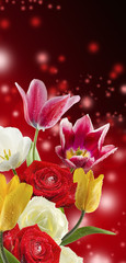 beautiful flowers in the garden on red background сloseup