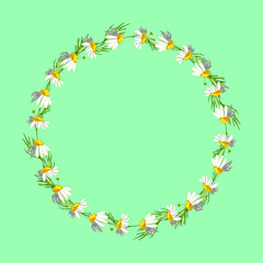 Beautiful wreath of small field daisies on a aqua menthe background. Pharmacy medicinal chamomile with leaves. Realistic style. Spring pattern.