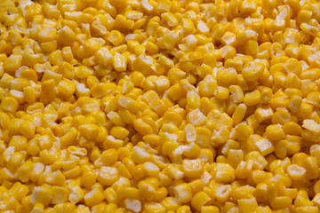 Tasty yellow grains of corn. Whole background.