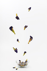 Dry clitoria's flowers flying out of a bowl.