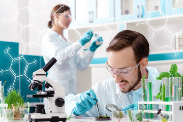 Scientists are working at microbiology laboratory. Man is conducting experiments, tests with...
