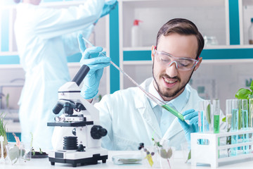Scientists are working at microbiology laboratory. Man is conducting experiments with plants....