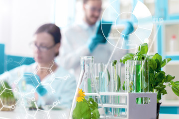 Closeup glass test tubes, flask with leaves and liquids. Scientists are working at microbiology...