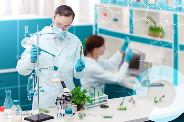 Man is working with laboratory supplies, tools, glass flasks, test tubes. Scientists are making research, conducting experiments, exploring plants, leaves. Biologist, biotechnologist workplace concept
