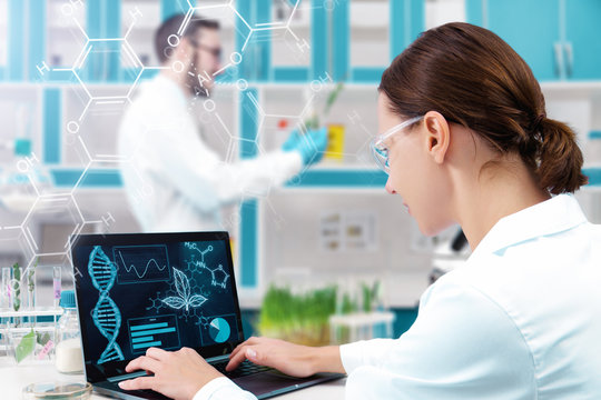 Scientists are working at microbiology laboratory. Woman is conducting experiments, tests with plants. Biotechnologist is researching leaves on laptop computer. Biologist workplace concept.