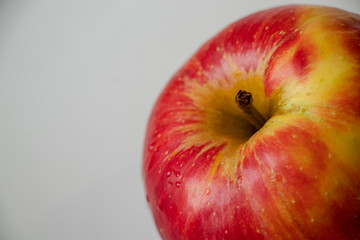 Big multi-colored apple. Red. Yellow. Green. On the white background.