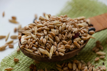Obraz premium Wooden spoon. The cloth. White background. Barley. Millet. Corn. Mixed cereals. Green.