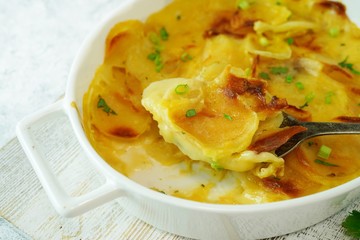 Homemade scalloped potatoes/ Potato gratin close up, selective focus