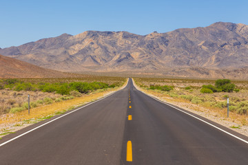 Fototapeta na wymiar American wilderness, an empty state road, Nevada, USA.