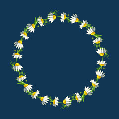 Beautiful wreath of field daisies on a classic blue background. Pharmacy medicinal chamomile with leaves. Realistic style. Spring pattern. Rustic decor.