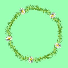 Beautiful wreath of five field daisies with leaves on a aqua menthe background. Pharmacy medicinal chamomile. Realistic style. Spring pattern. Rustic decor.