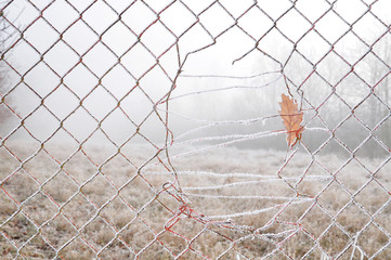 Wire net on fence with hole texture
