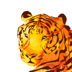 The tiger's head. Mixed media. Vector illustration