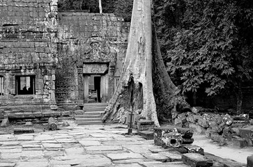 Angkor Wat in monochrome