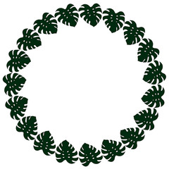 Round frame of vertical dark leaves of monstera on white background. Isolated frame for your design.