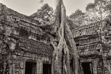 Angkor Wat in monochrome