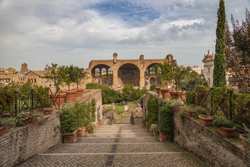 Fototapeta premium Palatine Hill, Rome Italy