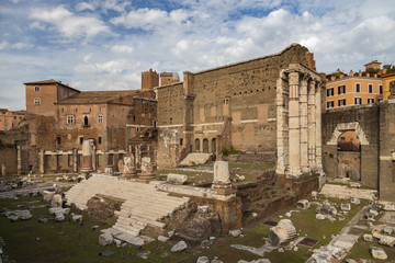 Fototapeta premium Ruins at Palatine Hill, Rome Italy