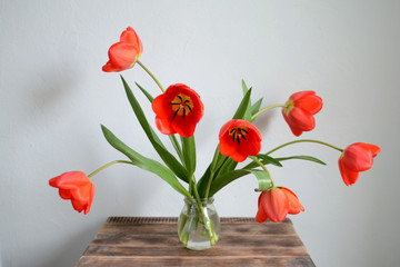 Bouquet of red tulips in a vase. Spring flowers. Mother's day, Valentine's day, international women's day, March 8