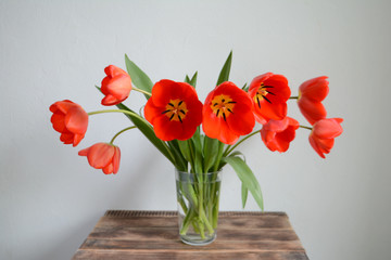Bouquet of red tulips in a vase. Spring flowers. Mother's day, Valentine's day, international women's day, March 8