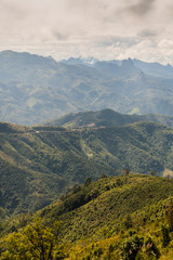 Naklejka premium Terraced Rice Fields, Laos