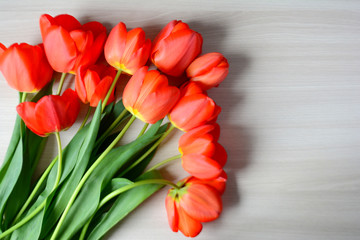 Bouquet of red tulips on a wooden background. Spring flowers. Mother's day, Valentine's day,...
