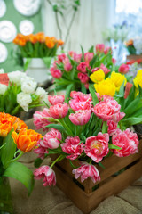 Fototapeta na wymiar Fresh spring colorful tulip flowers. Lot of multicolored tulips bouquets. Hello Spring and Woman day concepts