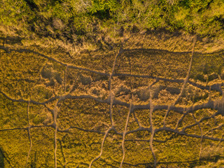 Fototapeta premium Aerial top view of Campuhan Ridge Walk, Quiet morning scenic landscape in Ubud Bali, Indonesia