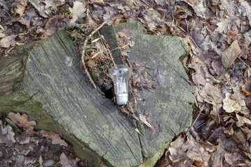 Incandescent lamp lying on a stump