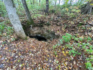 Cave by a path in forest