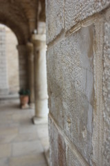 Israel, travel, deserts, flowers, palm trees Genesaret Lake