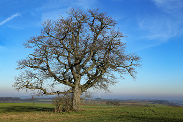 Winter landscape in central Europe abnormally warm winter