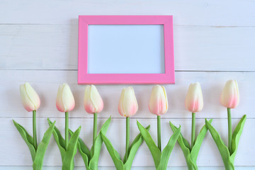 photo frame and flowers on a pink background.tulip.