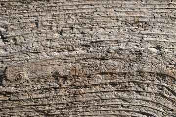 Natural aged grunge hard wood board surface flat texture